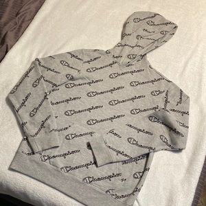 Champion Gray Hoodie